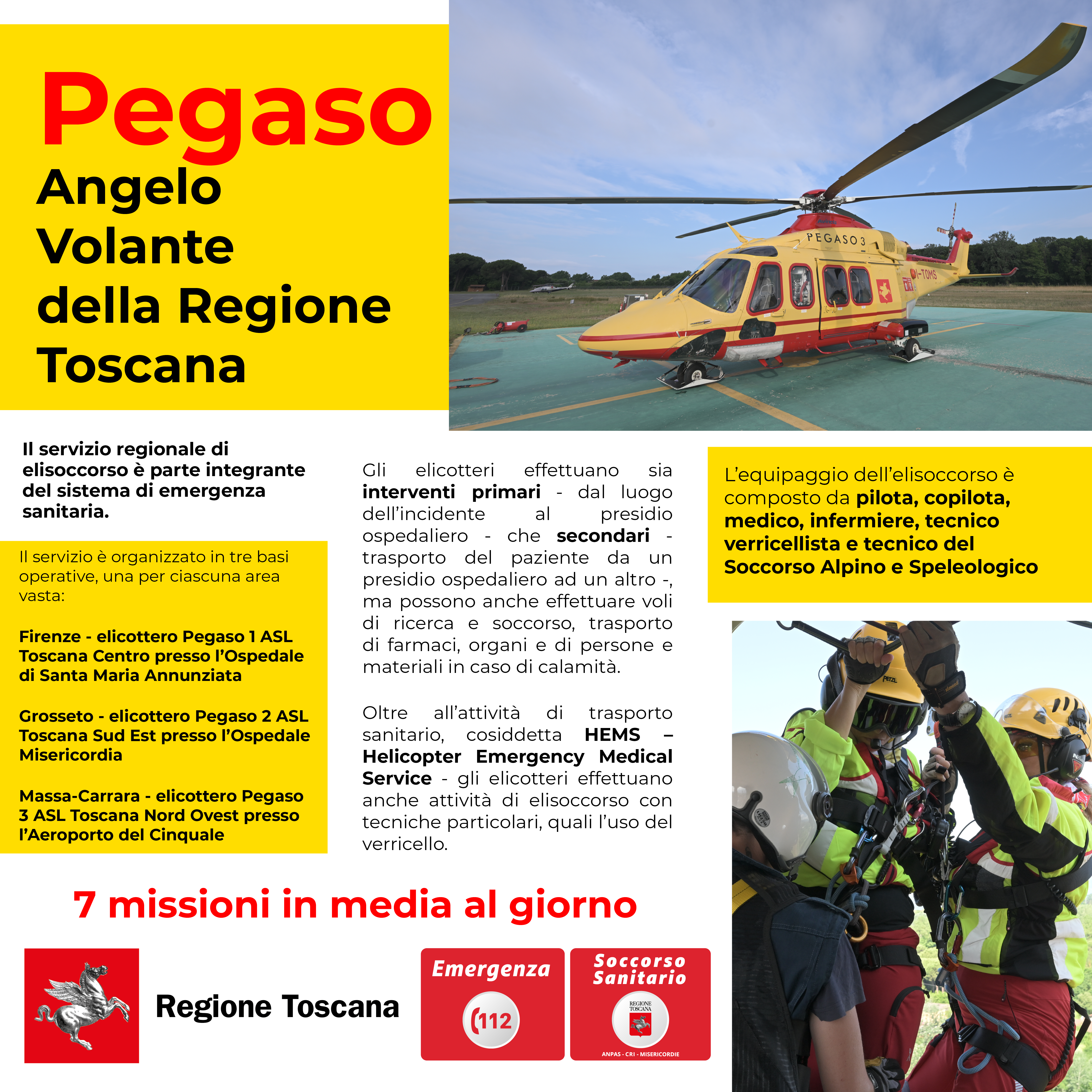 Card Pegaso